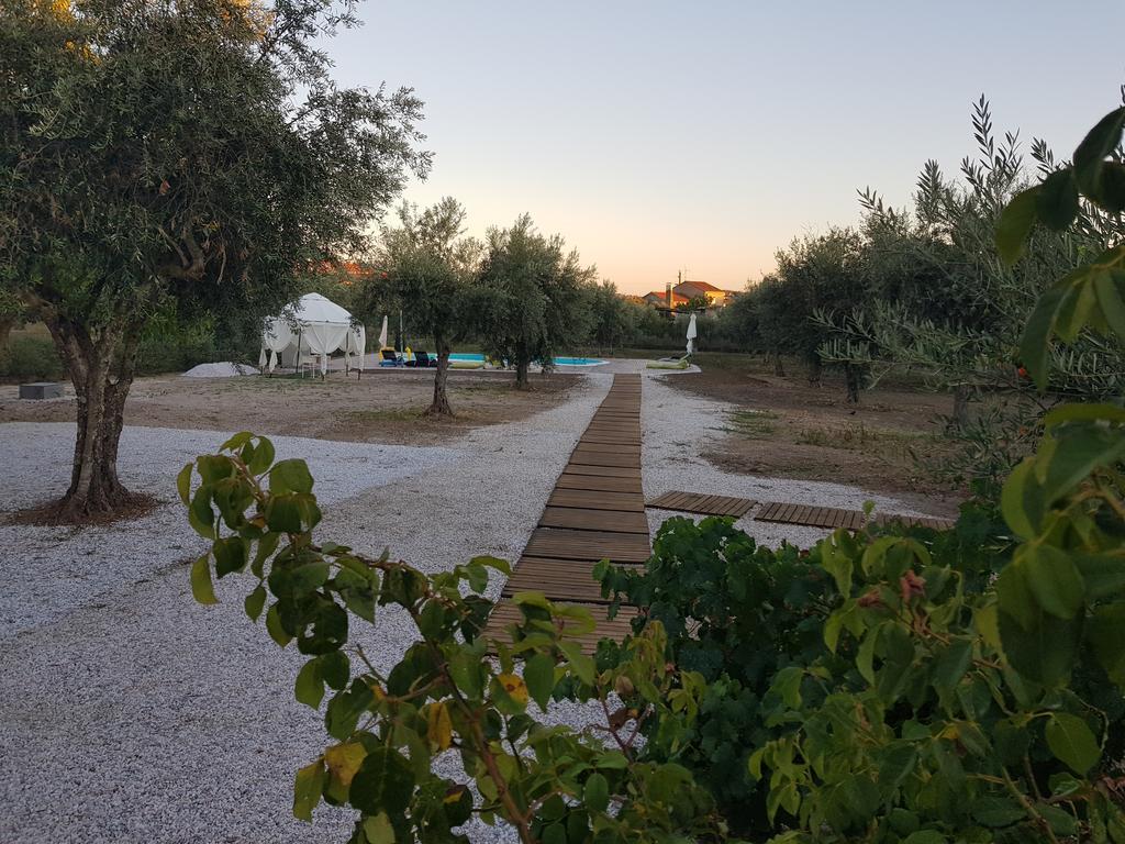 Oliveira Country House Figueira e Barros Exterior foto